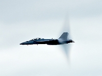 US Navy F-18F Super Hornet